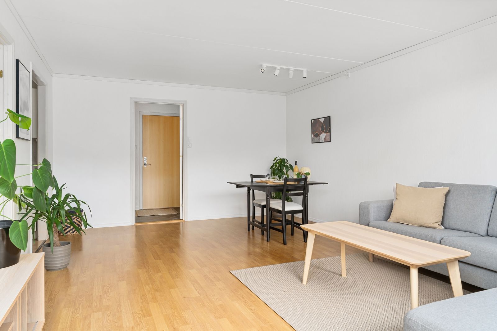 Light wood-effect floor in a living room with a grey sofa and dining table